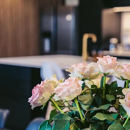 Storre Luksus Hus Ved Apartamento Assens